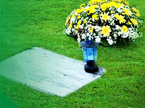 Memorial Land Naga City For Sale .